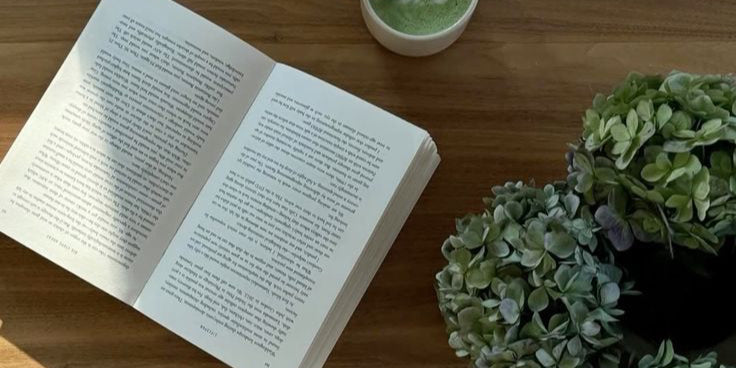 What to Look For in a Gut Health Supplement: A No-Fluff Guide